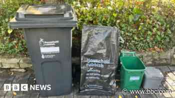 New rubbish collection has had issues - councillor