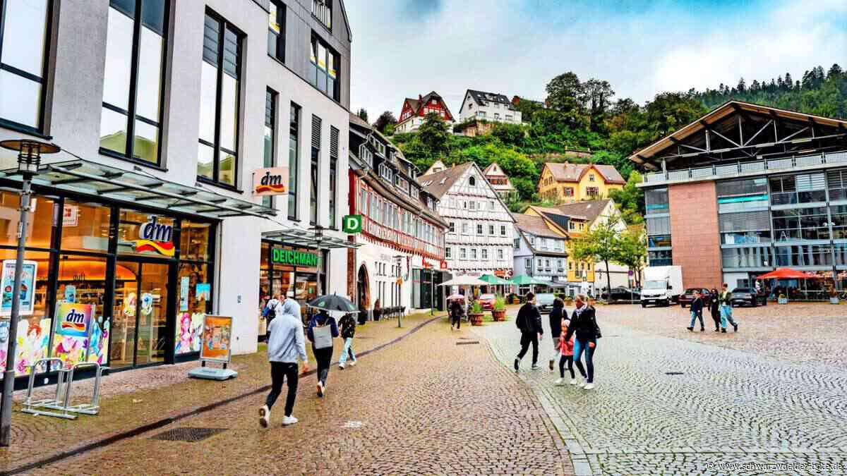 Projekt „Grüne Stadt“ Calw: Bald grünt es auf dem Unteren Ledereck