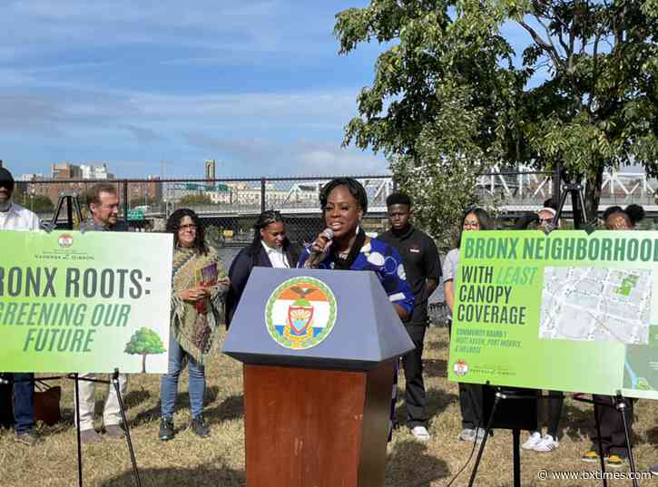 Bronx leaders rally for more trees in fight against urban heat and health disparities