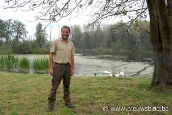 OP (BOS)SAFARI. Met Bram in de Polders van Kruibeke: “Lente is hier als rapport van al je inspanningen het afgelopen jaar”