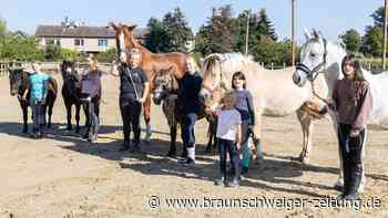 Warum ein Reitverein in Salzgitter ums Überleben kämpfen muss