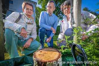 Rassistische Tat im Ravensberger Park?