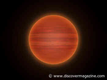 A Failed Star can Form Brown Dwarf Stars, Which Host Their Own Planetary Systems