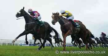 Horse Power: Strike Red can win the Ayr Gold Cup