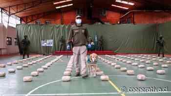 La Araucanía: Incautan 160 kilos de droga durante fiscalización en Ruta 5 Sur