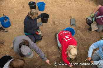 Holy Island 'bucket list' archaeological dig location as 'charnel pit' uncovered at new site