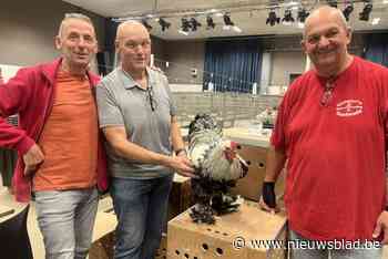 Kip is weer helemaal hip: meer en meer jonge kwekers op hoendertentoonstelling Kempische Pluimveevereniging