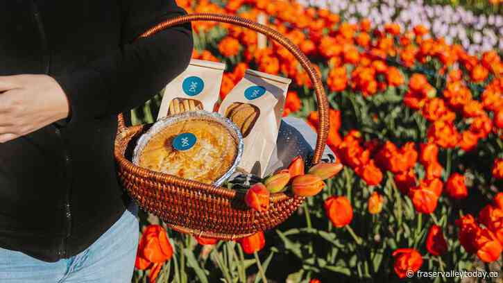 Chilliwack bakery to host Apple Fest with 30-plus vendors, food trucks and Kidz Zone this weekend