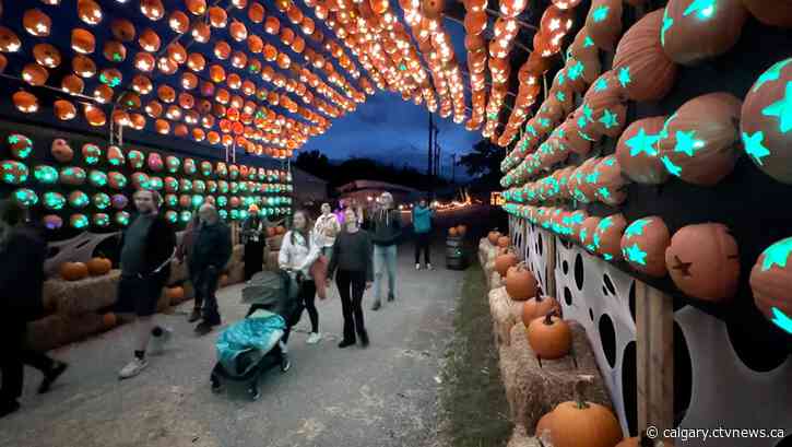 'Pumpkins After Dark' set to welcome the fall season and visitors to Halloween extravaganza