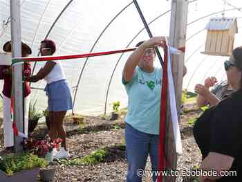 Urban Wholistics announces youth urban farmer pilot project