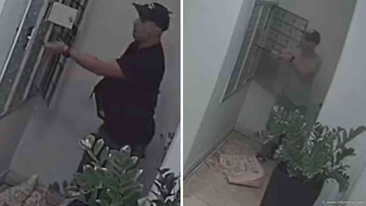 Surveillance captures Miami Beach mail thief stealing from several buildings