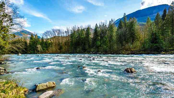 Fall Adopt a River cleanup picks up in Chilliwack this weekend