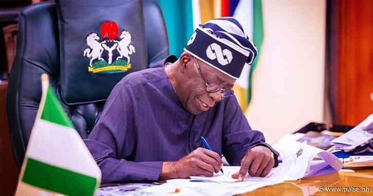 I came to work for Nigerians, not to look for money - Tinubu