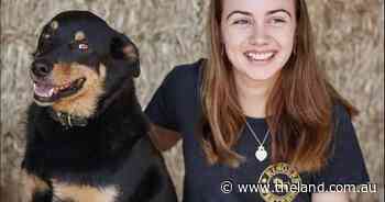 Fascination with cattle inspires Sophia's choice of dairying as a career