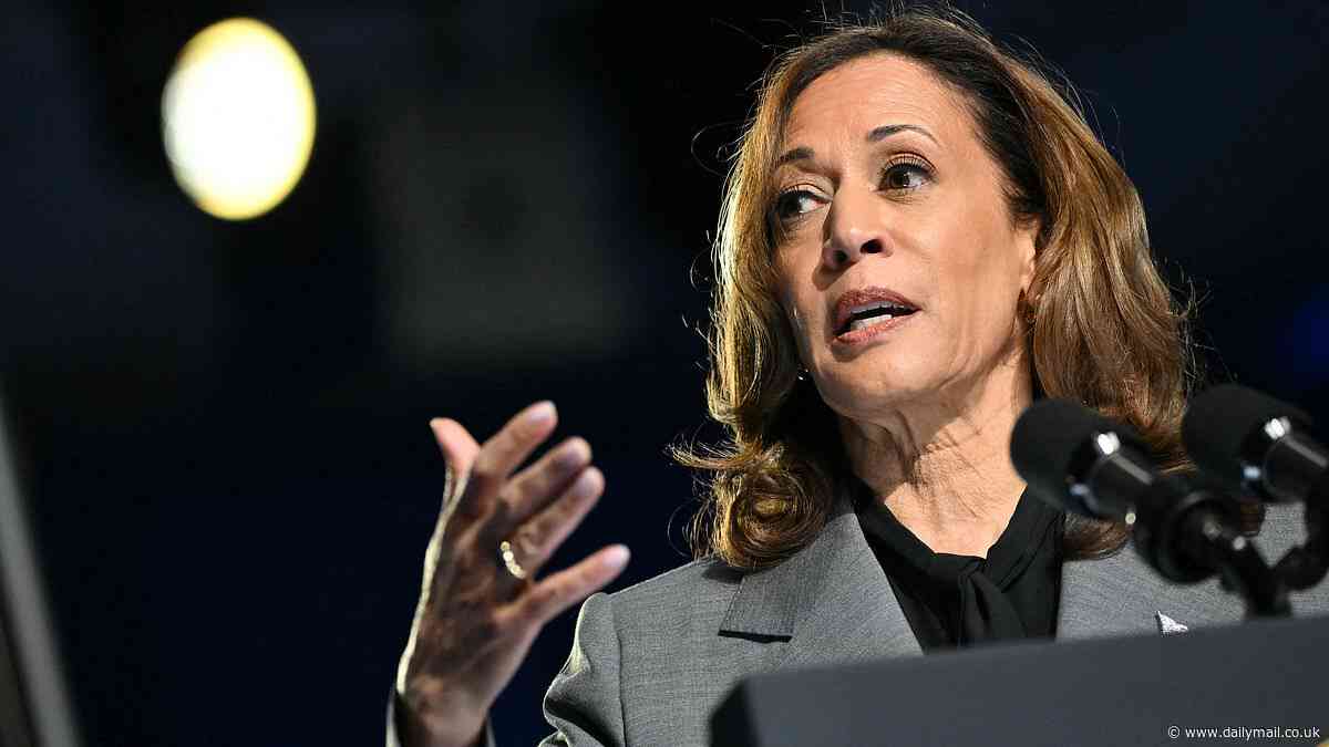 Top business school assesses Kamala Harris' claim she will make YOU better off if elected president