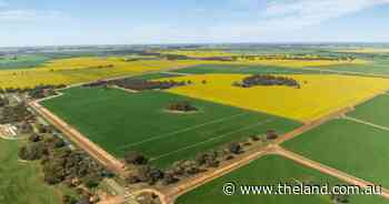 Premium irrigation and broadacre operation Karingal on the market | Video