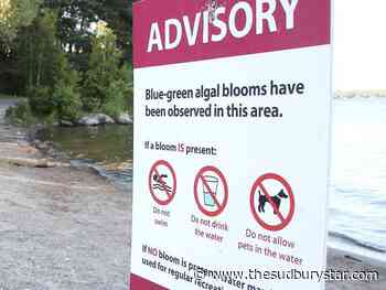 Blue-green algae blooms found in Ramsey, Whitewater lakes in Sudbury