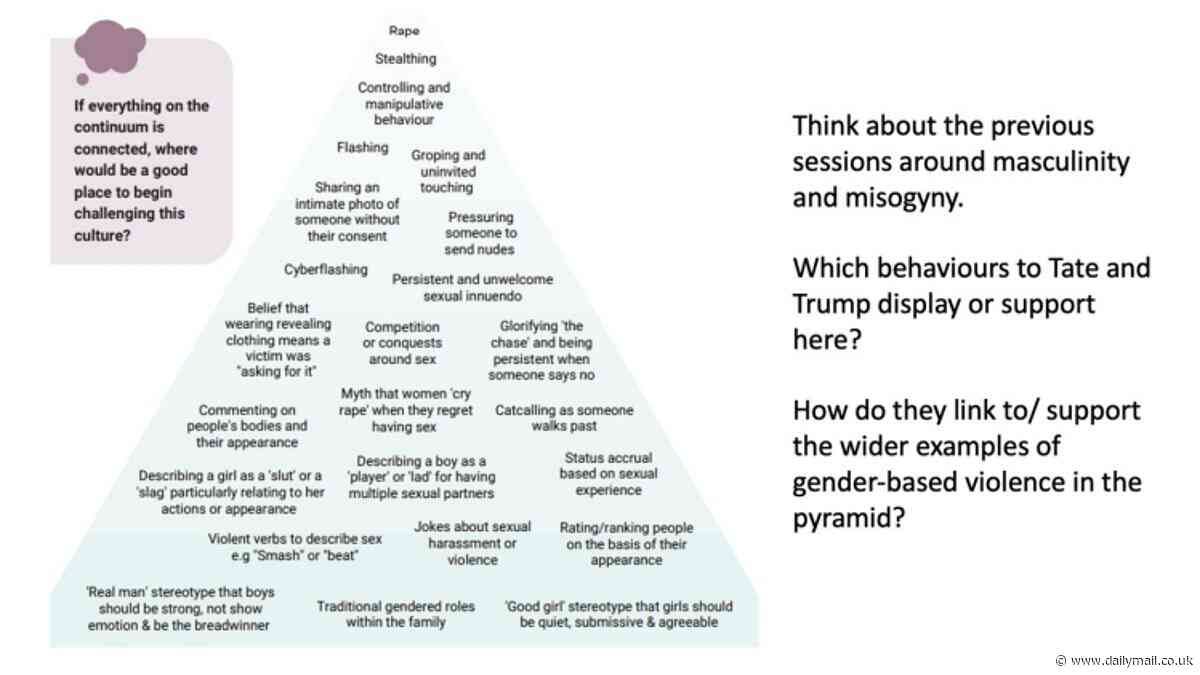 Teachers tell schoolboys that 'displaying traditional gendered roles in a family' could lead to them committing RAPE: Almost a third of schools use relationship and sex education classes to tell kids about 'toxic masculinity'