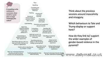 Teachers tell schoolboys that 'displaying traditional gendered roles in a family' could lead to them committing RAPE: Almost a third of schools use relationship and sex education classes to tell kids about 'toxic masculinity'