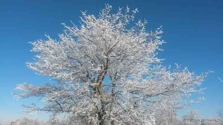 Frost advisory issued for City of Calgary Friday night