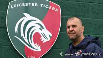 Michael Cheika interview: Inside the Premiership's biggest signing's masterplan for bringing the good times back to Leicester Tigers