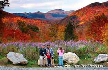 The Midwest could offer fall’s most electric foliage but leaf peepers elsewhere won’t miss out