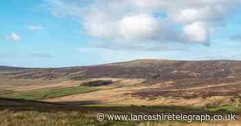 A pretty walk in the Lancashire forest via a beautiful route not known by many