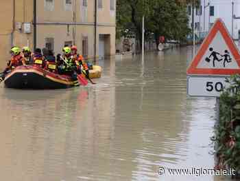 L'alluvione, la Salis, la teoria gender: ecco le parole della settimana