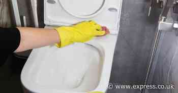 Clean your bathroom with the ‘high before low rule’ to avoid 'neglecting' key area