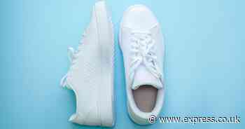 Turn dirty trainers white again in 10 minutes with cleaning fan's 99p method