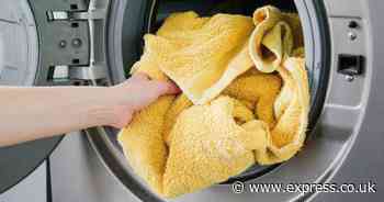 Stiff towels go ‘permanently soft’ with 1 natural item - no vinegar or tumble dryer needed