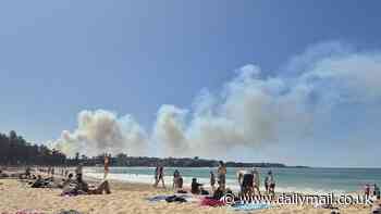 Huge fire rips through Sydney's Northern Beaches as residents are warned 'it's too late to leave'