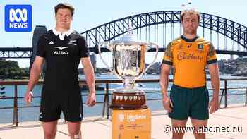 Live: Play underway between Wallabies and All Blacks in opening Bledisloe Cup Test