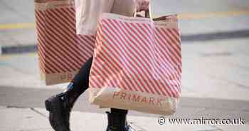 Primark shopper saves 'nearly £300 a year' thanks to 'cute' £1.80 item