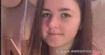 Girl, 15, is missing and police are appealing for help