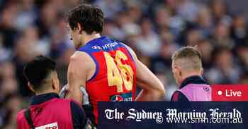 AFL LIVE 2024 updates: Lion-hearted courage shown over injured shoulder