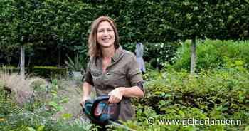 Tuinexpert geeft advies voor je tuin na alle regen en hitte: ‘Geef je haag voeding via de bladeren’