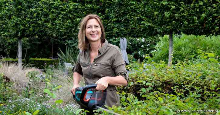 Regen en hitte brengen tuin in de war, zo krijg je hem weer in vorm: ‘Vooral deze plant duikt op in het gazon’