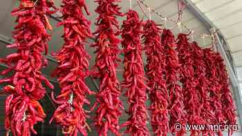 A rare treat getting rarer: Chimayo Red, New Mexico's 'holy chile'