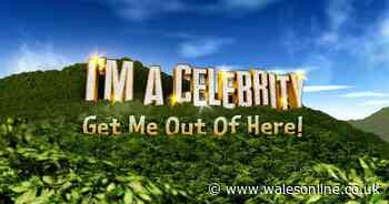 I’m A Celebrity star rushed to hospital and shares health update