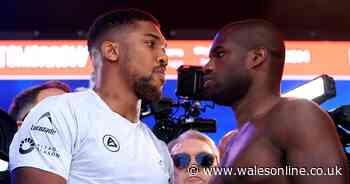 What time is Anthony Joshua vs Daniel Dubois fight tonight? How to watch, full undercard