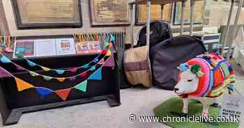 Heaton craft group to 'yarn bomb' Newcastle Cathedral for a good cause