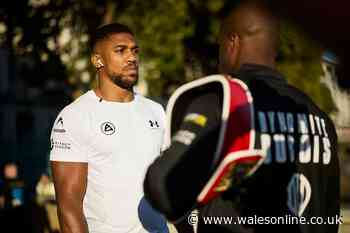 Anthony Joshua vs Daniel Dubois exact start time and full undercard