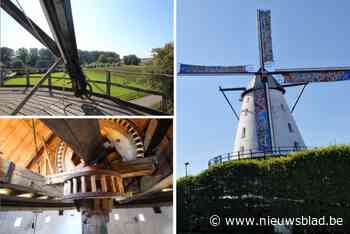 IN BEELD. Twintigste verjaardag van gerestaureerde Boechoutse molen