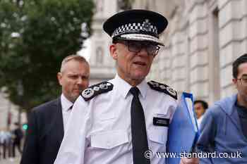 Climate and war protests distracting police from protecting public, says Met chief