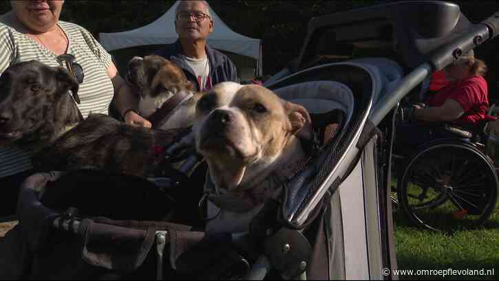 Bant - 'Bevrijdingsdag voor honden uit Zuid Spanje' in Bant