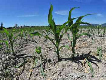 B.C. Climate News: Climate and food security join new federal list of Canada’s intelligence priorities | With droughts increasing, B.C. farmers need water reserved for food production