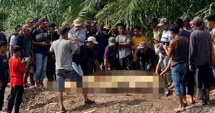 Search party finds missing fisherman’s head in crocodile’s stomach