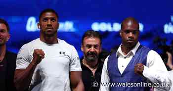 Anthony Joshua vs Dubois huge prize money and total purse split