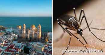 Spanish expat hotspot confirms first case of lethal virus as hospital admissions soar